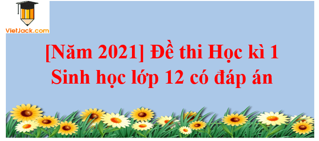 [Năm 2023] Đề thi Học kì 1 Sinh học 12 có đáp án (6 đề)