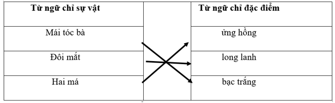 10 Đề thi Học kì 1 Tiếng Việt lớp 2 Kết nối tri thức năm 2024 (có đáp án)