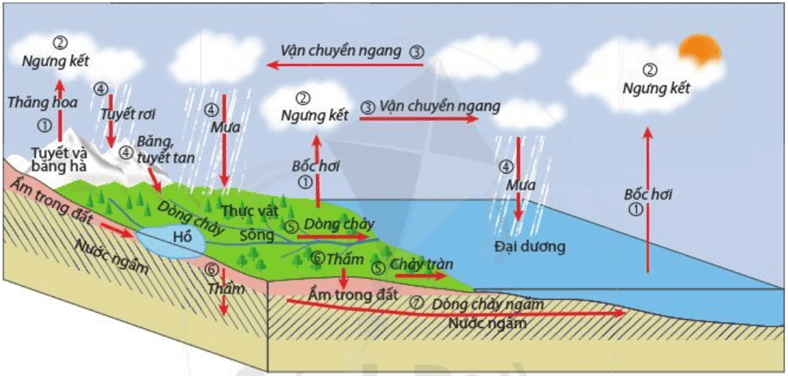 3 Đề thi Học kì 2 Lịch Sử và Địa Lí 6 Cánh diều năm 2024 (có đáp án)