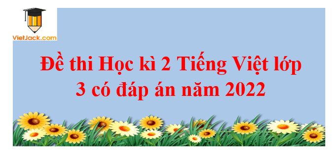 Đề thi Học kì 2 Tiếng Việt lớp 3 có đáp án năm 2024 (10 đề)