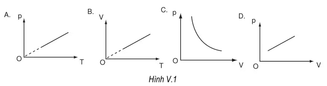 [Năm 2023] Đề thi Học kì 2 Vật Lý lớp 10 có đáp án (8 đề)