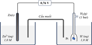Đề thi học sinh giỏi Hóa học 12 Cụm 09 trường THPT (Phú Thọ) năm 2025-2026