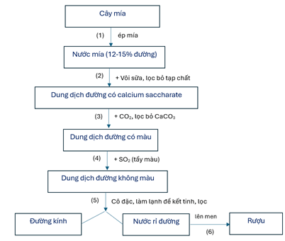 Đề thi học sinh giỏi Hóa học 12 Cụm các trường THPT (Hải Phòng) năm 2025-2026