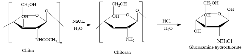 Đề thi học sinh giỏi Hóa học 12 trường THPT Hàn Thuyên (Bắc Ninh) năm 2025-2026