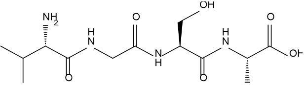 Đề thi học sinh giỏi Hóa học 12 trường THPT Hàn Thuyên (Bắc Ninh) năm 2025-2026