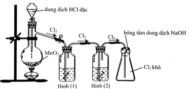 Đề thi học sinh giỏi Hóa học 12 trường THPT Hàn Thuyên (Bắc Ninh) năm 2025-2026