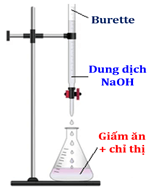 Đề thi học sinh giỏi Hóa học 12 trường THPT Hàn Thuyên (Bắc Ninh) năm 2025-2026