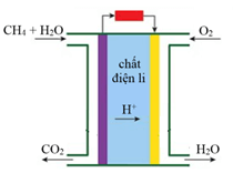 Đề thi học sinh giỏi Hóa học 12 trường THPT Trực Ninh (Ninh Bình) năm 2025-2026