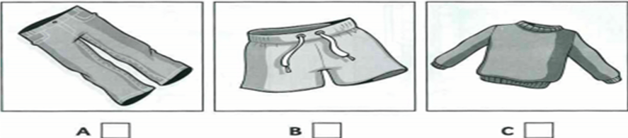 Đề thi học sinh giỏi Tiếng Anh 7 Phòng GD&ĐT Kim Bảng (Hà Nam) năm 2023-2024
