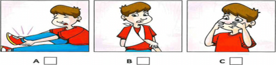 Đề thi học sinh giỏi Tiếng Anh 7 Phòng GD&ĐT Kim Bảng (Hà Nam) năm 2023-2024