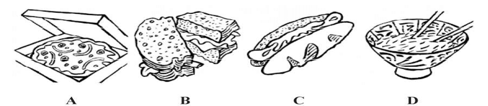 Đề thi HSG Tiếng Anh 8 Sở GD&ĐT Ninh Bình năm 2025-2026