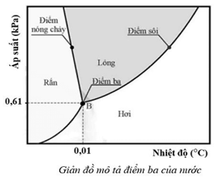 Đề thi HSG Vật lí 12 trường THPT Hàm Rồng (Thanh Hóa) năm 2025-2026