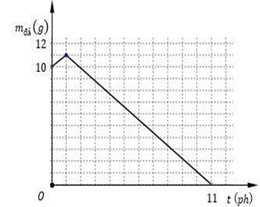 Đề thi HSG Vật lí 12 trường THPT Hàm Rồng (Thanh Hóa) năm 2025-2026
