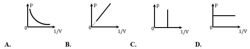 Đề thi HSG Vật lí 12 trường THPT Uông Bí (Quảng Ninh) năm 2025-2026