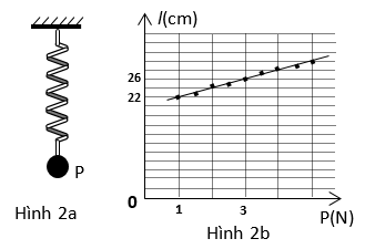Đề thi HSG Vật lí 12 trường THPT Uông Bí (Quảng Ninh) năm 2025-2026
