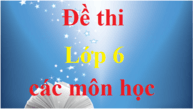 Bộ đề thi lớp 6 năm 2024 các môn học