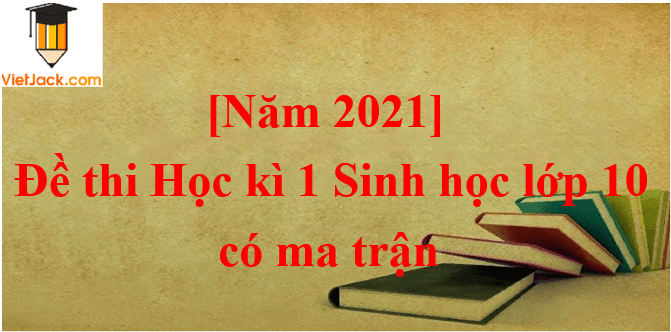 Đề thi Học kì 1 Sinh học 10 năm 2024 có ma trận (8 đề)