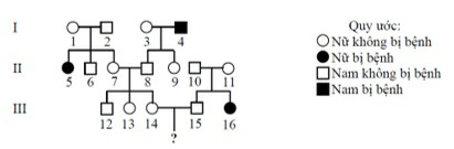 Đề thi Học kì 1 Sinh học 12 năm 2024 có ma trận (8 đề)