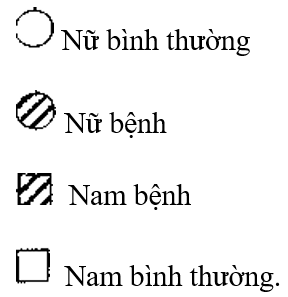 Đề thi Học kì 1 Sinh học 12 năm 2024 có ma trận (8 đề)