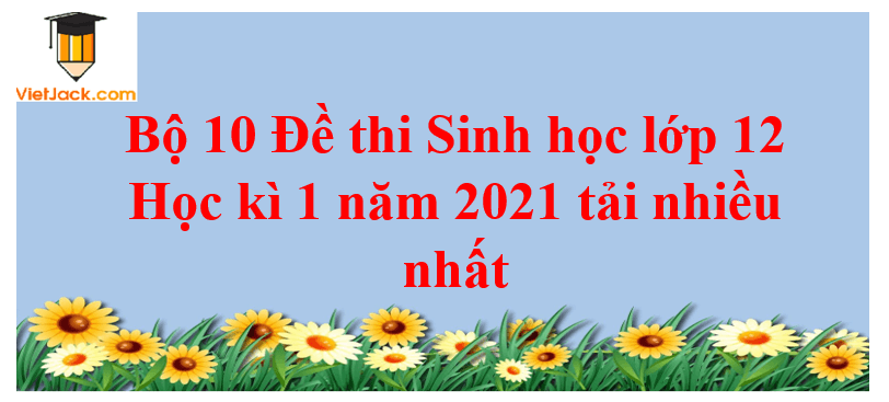 Bộ 3 đề thi Sinh học 12 Học kì 1 năm 2024 tải nhiều nhất