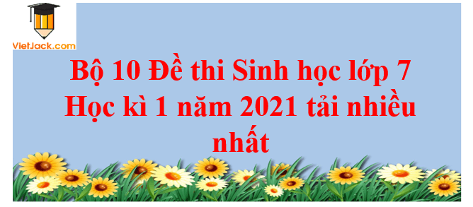 Bộ 3 đề thi Sinh học lớp 7 Học kì 1 năm 2024 tải nhiều nhất