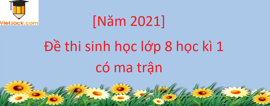 Đề thi Học kì 1 Sinh học lớp 8 năm 2024 có ma trận (8 đề)