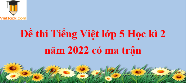Đề thi Tiếng Việt lớp 5 Học học kì 1 năm 2024 có ma trận (20 đề)