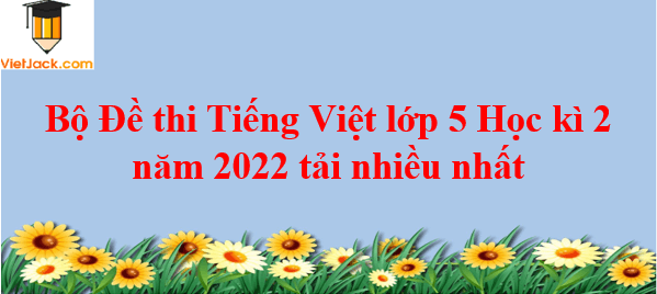 Bộ 15 Đề thi Tiếng Việt lớp 5 Học kì 2 năm 2024 tải nhiều nhất