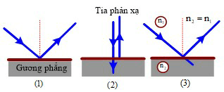 Bộ 12 Đề thi Vật Lí 11 Giữa kì 2 năm 2024 tải nhiều nhất