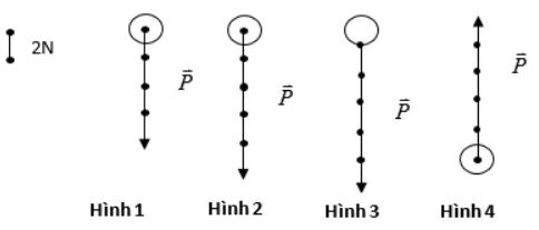 Bộ 3 đề thi Vật Lí 8 Học kì 1 năm 2024 tải nhiều nhất