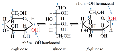 (Ôn thi ĐGNL, ĐGTD) Chuyên đề: Carbohydrate