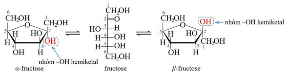 (Ôn thi ĐGNL, ĐGTD) Chuyên đề: Carbohydrate