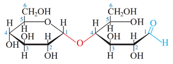 (Ôn thi ĐGNL, ĐGTD) Chuyên đề: Carbohydrate