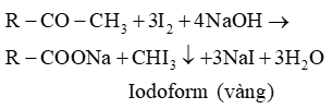 (Ôn thi ĐGNL, ĐGTD) Chuyên đề: Hợp chất carbonyl - carboxylic acid