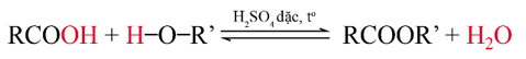 (Ôn thi ĐGNL, ĐGTD) Chuyên đề: Hợp chất carbonyl - carboxylic acid