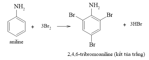 (Ôn thi ĐGNL, ĐGTD) Chuyên đề: Hợp chất chứa nitrogen