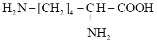 (Ôn thi ĐGNL, ĐGTD) Chuyên đề: Hợp chất chứa nitrogen