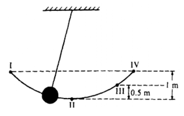 10+ Đề thi ĐGNL Bộ Quốc phòng phần Khoa học (có lời giải)