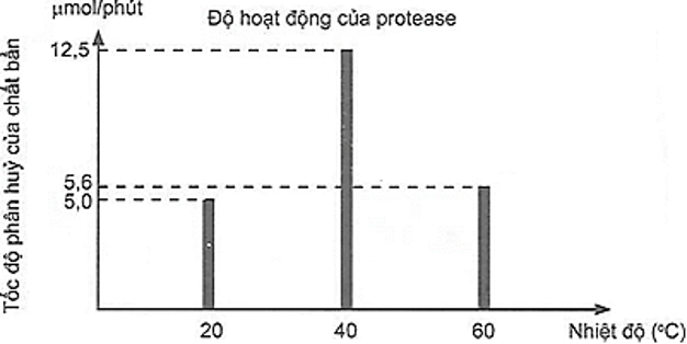 5+ Đề thi ĐGNL V-SAT môn Hóa học (có lời giải)