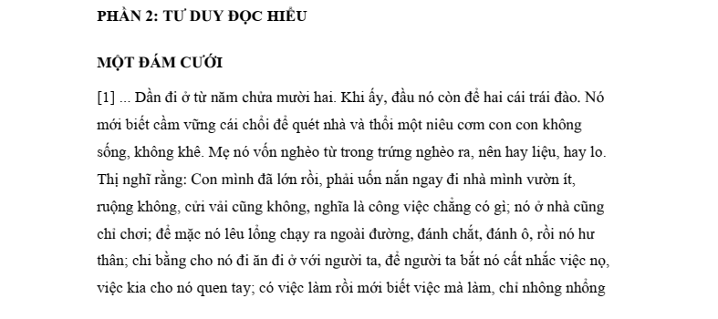 30+ Đề thi ĐGTD ĐHBK Hà Nội TSA phần Tư duy đọc hiểu (có lời giải)