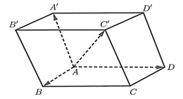 (Ôn thi ĐGNL, ĐGTD) Vectơ và các phép toán vectơ trong không gian