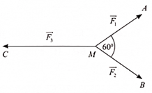 (Ôn thi ĐGNL, ĐGTD) Vectơ và các phép toán vectơ trong không gian