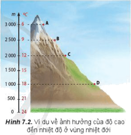 Đọc thông tin và quan sát hình 7.2, hãy so sánh nhiệt độ