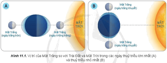 Đọc thông tin và quan sát hình 11.1, hãy giải thích hiện tượng thuỷ triều