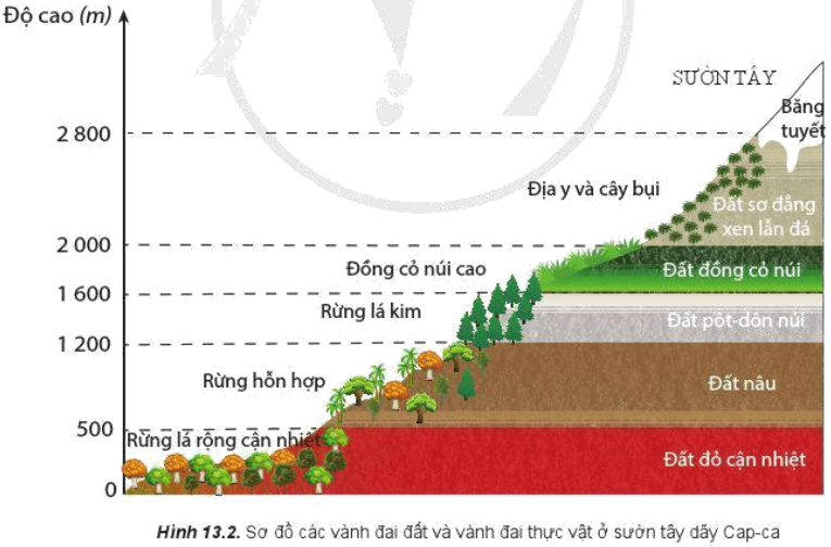 Dựa vào hình 13.2 và kiến thức đã học, hãy nhận xét và giải thích