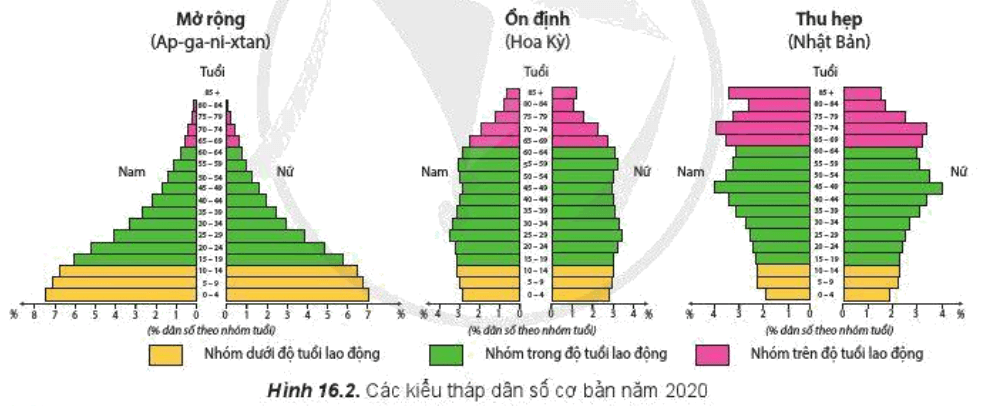 Đọc thông tin và quan sát hình 16.2, hãy Cho biết cơ cấu sinh học bao gồm những loại cơ cấu nào