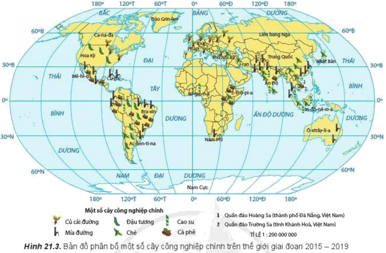 Đọc thông tin và quan sát hình 21.3, hãy nhận xét và giải thích sự phân bố các cây công nghiệp