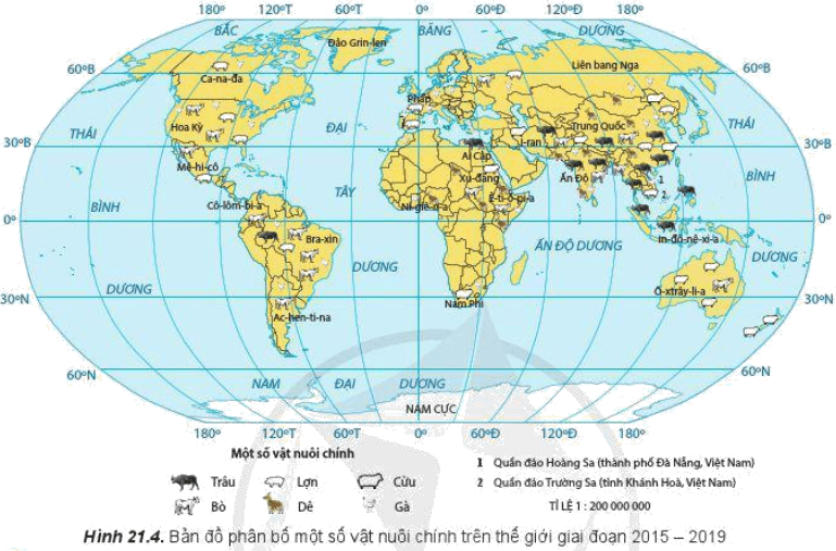 Đọc thông tin và quan sát hình 21.4, hãy nhận xét và giải thích sự phân bố của một số vật nuôi