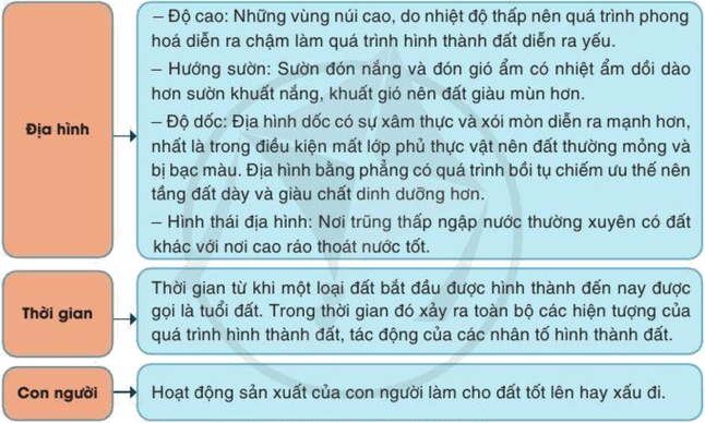 Lý thuyết Địa Lí 10 Cánh diều Bài 12: Đất và sinh quyển (ảnh 2)