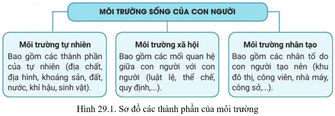 Lý thuyết Địa Lí 10 Cánh diều Bài 29: Môi trường và tài nguyên thiên nhiên (ảnh 1)